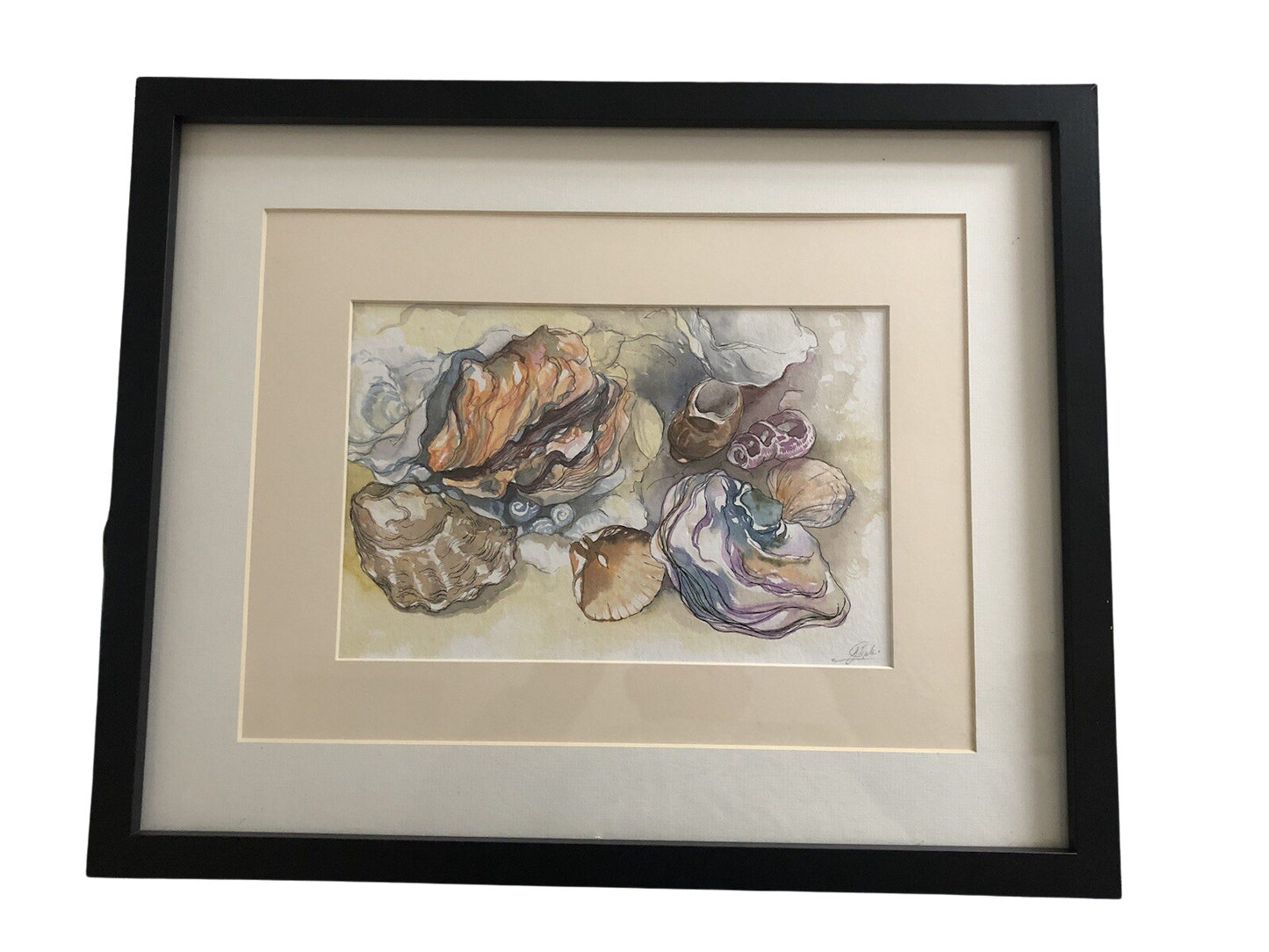 Still Life of Shells - Josie Tipler (British, Contemporary) | Contemporary Still Life