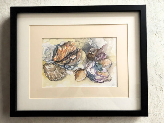Still Life of Shells - Josie Tipler (British, Contemporary) | Contemporary Still Life