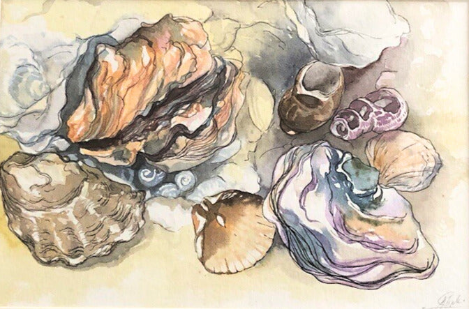 Still Life of Shells - Josie Tipler (British, Contemporary) | Contemporary Still Life