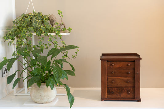 A delightful Victorian English Mahogany Wellington Chest of Drawers/Specimen Cabinet, .1850