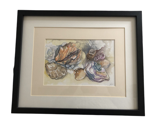 Still Life of Shells - Josie Tipler (British, Contemporary) | Contemporary Still Life